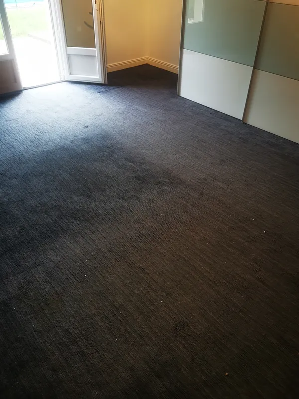 Chambre avec moquette bleue encrassée avant nettoyage — Mios 2026