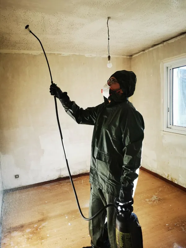 Vincent en combinaison de protection traitant murs et plafond au biocide — chantier Diogène Léognan, décembre 2025