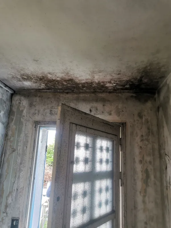 Plafond recouvert de moisissures noires massives avant intervention — Léognan, décembre 2025