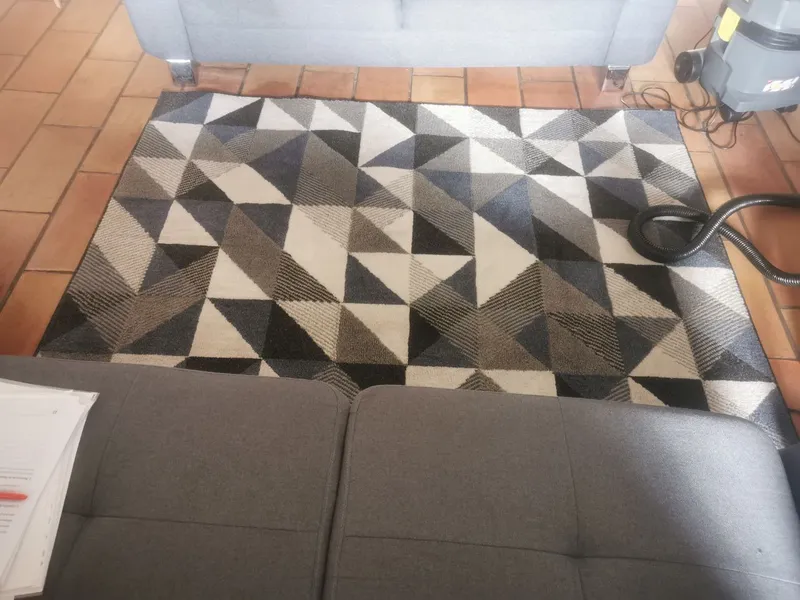 Tapis nettoyé par injection-extraction, fibres ravivées — location Airbnb, Gujan-Mestras