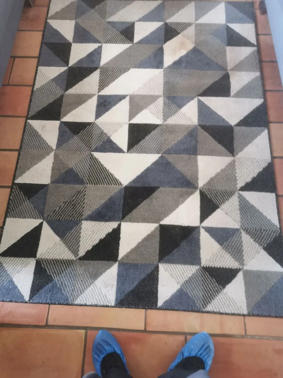 Tapis encrassé et taché avant nettoyage — location Airbnb, Gujan-Mestras